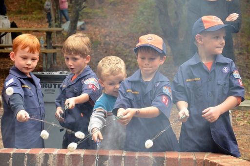 Boy Scouts toasting marshmallows